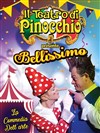 Il teatro di Pinocchio - Chapiteau Il Circo di Pinocchio à Villabé