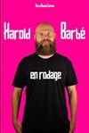 Harold Barbé | En rodage - Théâtre à l'Ouest