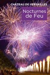 Les Grandes Eaux Nocturnes de Feu 2024 - Jardin du château de Versailles - Entrée Cour d'Honneur