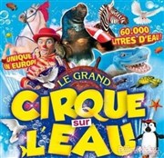 Le Cirque sur l'Eau | - Chalon sur Saône Chapiteau Le Cirque sur l'Eau  Chalon sur Sane Affiche