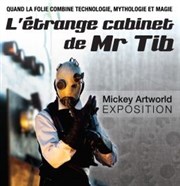 L'étrange Cabinet de Mr Tib Le Kalinka Affiche
