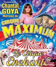 Le Cirque Maximum dans Le Cirque Enchanté | - Champagnole Chapiteau Maximum  Champagnole Affiche