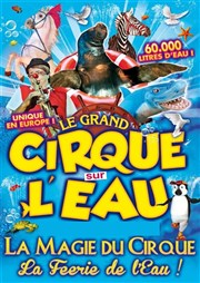 Le Cirque sur l'Eau | - Saint Dié Chapiteau Le Cirque sur l'eau  Saint Di des Vosges Affiche