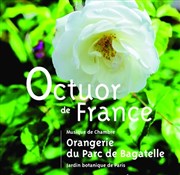Haydn - Arensky - Dvorak Orangerie du Parc de Bagatelle Affiche