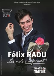 Félix Radu dans Les mots s'improsent Thtre du Marais Affiche