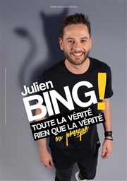 Julien Bing dans Toute la vérité, rien que la vérité (ou presque) Le Pont de Singe Affiche