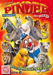 Cirque Pinder dans Les animaux sont rois | - Nice Chapiteau Pinder  Nice Affiche