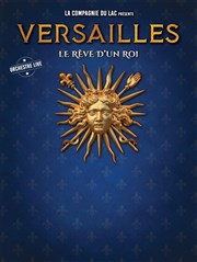 Versailles, le rêve d'un Roi Le millenaire Affiche