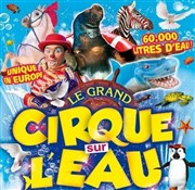 Le Cirque sur l'Eau | - Auray Chapiteau Le Cirque sur l'Eau  Auray Affiche