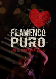 Puro Flamenco Ogresse Thtre Affiche