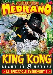 Cirque Medrano dans King Kong, Le Roi de la Jungle | - Brest Chapiteau Medrano  Brest Affiche
