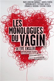 Les monologues du vagin Cit des Congrs Affiche