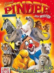 Cirque Pinder dans Les animaux sont rois | - Auray Chapiteau Pinder  Auray Affiche