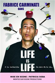 Fabrice Carminati dans Life is Life La Comdie de Lille Affiche
