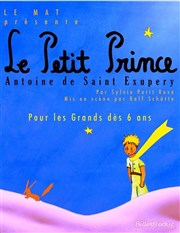 Le petit prince Comdie de Grenoble Affiche