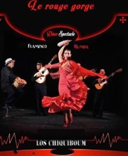 Flamenco rumba Rouge Gorge Affiche