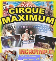 Le Cirque Maximum dans Authentique | - Castres Chapiteau Maximum  Castres Affiche