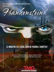 Frankenstein Thtre Montmartre Galabru Affiche