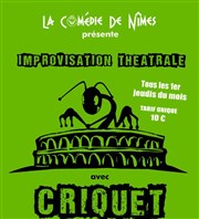 Criquet de Nîmes, soirée d'improvisation La Comdie de Nmes Affiche