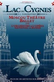 Le Lac des Cygnes - Moscou Théâtre Ballet Le Dme de Marseille Affiche