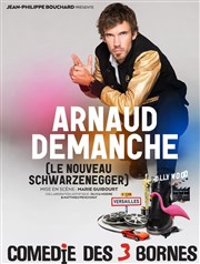 Arnaud Demanche Comdie des 3 Bornes Affiche