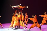 Les maîtres de Shaolin Maison des Jeunes et Culture Thtre Affiche