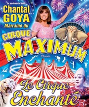 Le Cirque Maximum dans Le Cirque Enchanté | - Montélimar Chapiteau Maximum  Montlimar Affiche