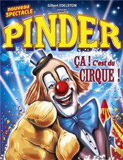 Cirque Pinder dans Ça c'est du cirque ! | - Valence Chapiteau Pinder  Valence Affiche