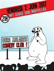 Ours Molaires Comedy Club Maison pour tous George Sand Affiche