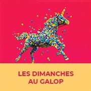 Dimanches au Galop Hippodrome Paris Longchamp Affiche