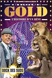 Cirque Gold - L'histoire d'un rêve | - Marseille Chapiteau Cirque Gold  Marseille Affiche