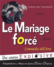 Le mariage forcé Pixel Avignon Affiche