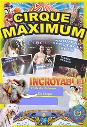 Le Cirque Maximum dans Authentique | - Vagney Chapiteau Maximum  Vagney Affiche