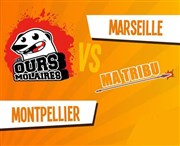 Match impro : Ours Molaires (Montpellier) Vs. Ma Tribu (Marseille) Maison pour tous George Sand Affiche