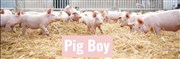 Pig boy Le Carr 30 Affiche