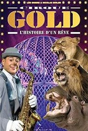 Cirque Gold - l'histoire d'un rêve | Alençon Chapiteau Cirque Gold  Alenon Affiche