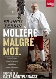 Molière malgré moi | avec Francis Perrin Gait Montparnasse Affiche