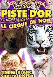 Le Cirque de Noël La Piste d'Or | Saumur Chapiteau des Merveilles  Saumur Affiche