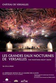 Les Grandes Eaux Nocturnes Jardin du chteau de Versailles - Entre Cour d'Honneur Affiche