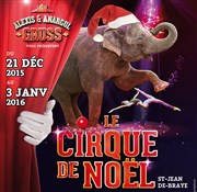 Cirque de Noël | - Saint Jean de Braye Chapiteau du Cirque Alexis & Anargul Gruss  Saint Jean de Braye Affiche