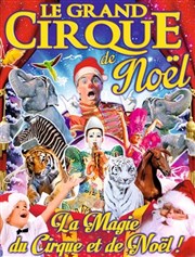 Le Grand Cirque de Noël, la magie du cirque | à Nancy Chapiteau Medrano  Nancy Affiche