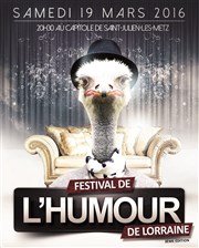 Festival de l'humour de lorraine| 2016 | 3ème édition Le Capitole Affiche