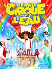 Le grand Cirque sur l'Eau : La Magie du cirque | - Vitry le François Chapiteau Medrano  Vitry le Franois Affiche