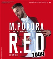 M. Pokora | R.E.D Tour 2015 Znith de Paris Affiche