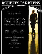 Patricio & ballet Flamenco Patricio Martin Thtre des Bouffes Parisiens Affiche
