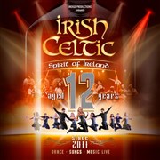 Irish Celtic : Spirit of Ireland aged 12 years Folies Bergre Affiche
