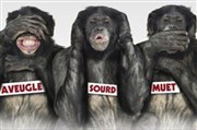 Les bonobos Thtre de Saint Maur - Salle Rabelais Affiche