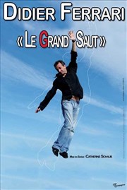 Didier Ferrari dans Le grand saut Thtre Francis Gag - Grand Auditorium Affiche