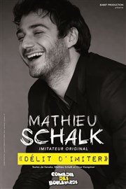 Mathieu Schalk dans Délit d'imiter Le Mtropole Affiche