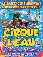 Le Cirque sur l'Eau | - Saint Brieuc Chapiteau Le Cirque sur l'Eau  Saint Brieuc Affiche